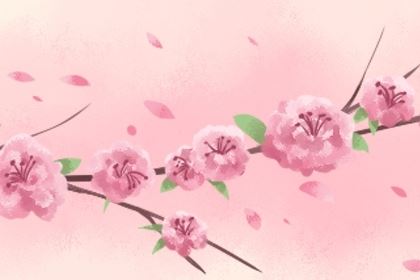 戊寅日柱在2026年有成婚之喜吗 喜事难掩溢满怀