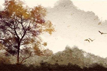 有哪些终身不婚的八字 特征为比劫抑制财星