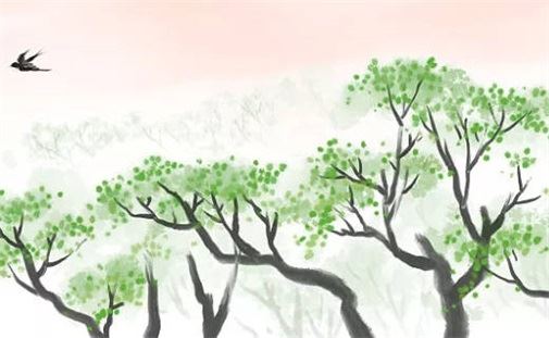 夫妻宫化忌入疾厄越轨 命宫化忌入夫妻宫很惨