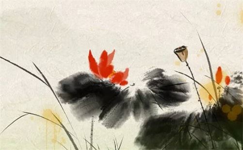 虎比蛇大三岁的婚姻好吗 蛇跟虎在一起谁最倒运