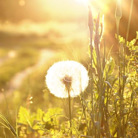 癸卯年甲子月运势