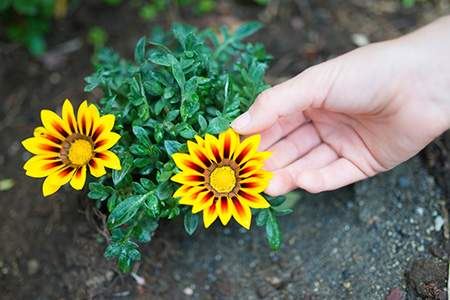 五行喜水木的人遇九紫离火运怎么