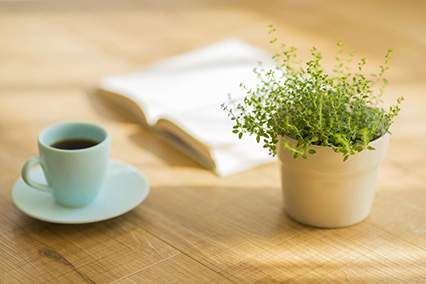 八字水旺缺木在2026年运势