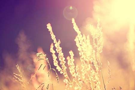 天干五合究竟是什么意思