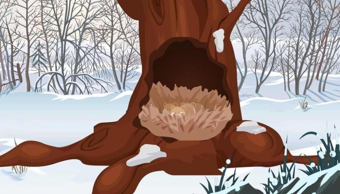 安徽高校寒假放假时刻2026年 2026安徽各大高校寒假放假时刻组织