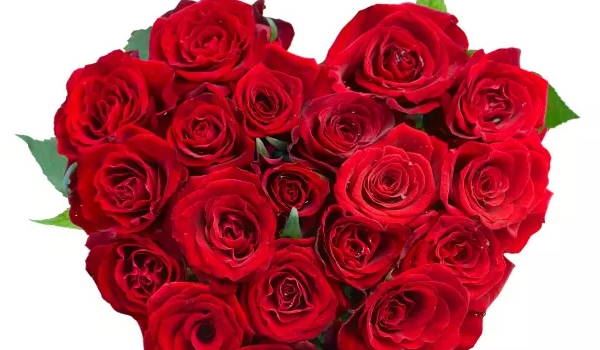 2026年阴历十一月初十宜挂号领证吗 适合办喜酒吗