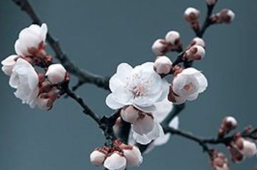 2026年5月30日开工复工吉祥吗 是建房开工大好日子吗