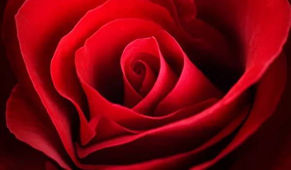 2026年阴历正月初九宜嫁娶办婚礼吗 适合办喜酒吗