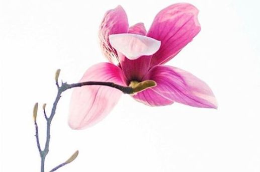 2026年6月14日安门好不好 是装置大门的好日子吗