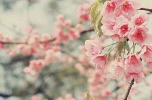 2026年6月22日是买车黄道吉日吗 能够提新车吗