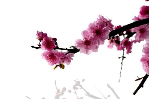 2026年阴历四月初十出去方不方便 哪天是出行黄道吉日