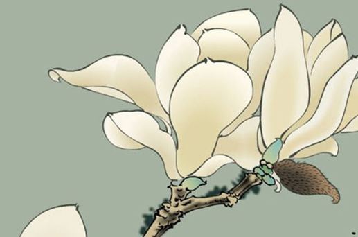 2026年6月26日接新车日子好不好 当天能提车吗