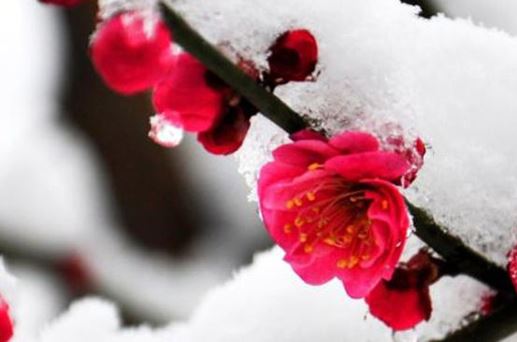 2026年6月26日是上等开工黄道吉日吗 这天合适复工吗