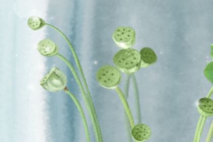 楼梯吉凶大全：坐北朝南楼梯风水布局