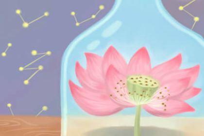 住所风水及楼层风水怎样选 住所风水及楼层风水怎样选