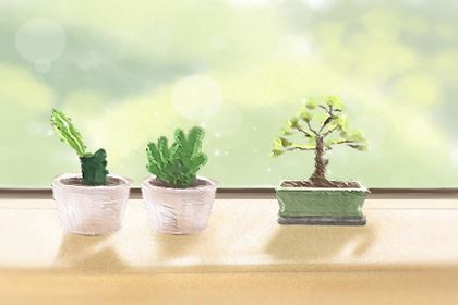 冰箱放在什么方位好？助运不败运