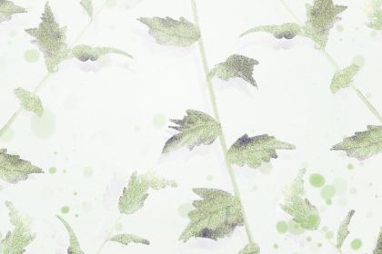 卧室墙面色彩不对，主人精力不济