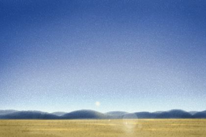 床头柜上合适放什么东西