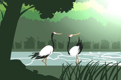 简单影响健康的卧室风水有哪些