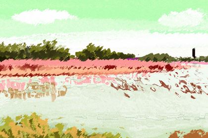 厨房摆放物品的风水考究？