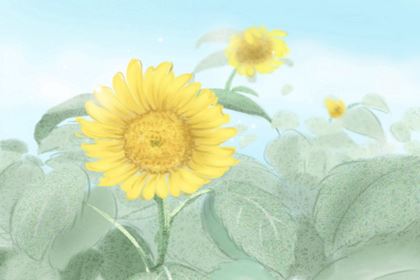 花店方位风水铺排忌讳