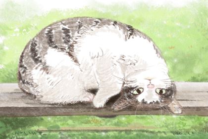 那些你所不知的植物风水：怎么给卧室挑植物