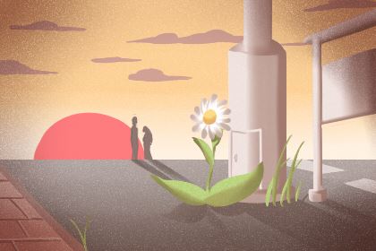 门口有石榴树好不好