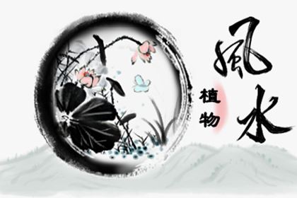 宅院里种枣树好不好 枣树风水忌讳