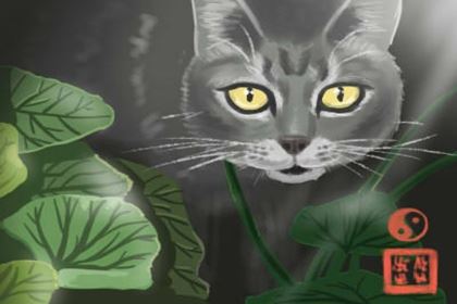 为什么说家里不能放人摆件