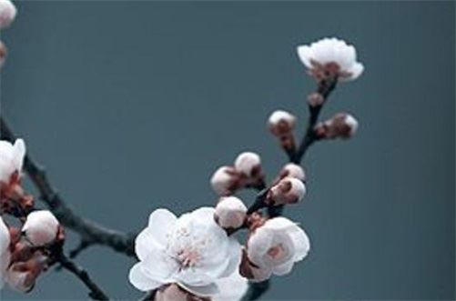 2026年阴历十月十三是店肆倒闭黄道吉日吗  开业好不好