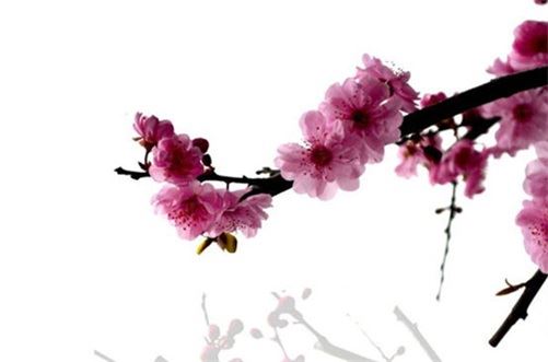 2026年阴历十月二十六是开店开业最佳好日子吗  合适倒闭吗