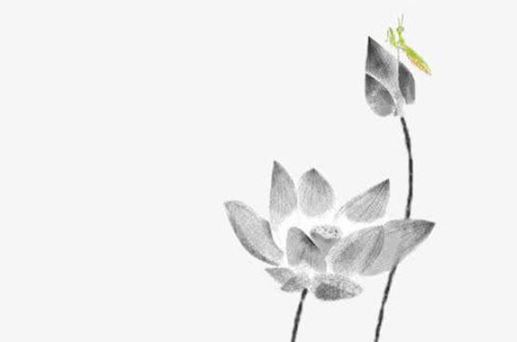 2026年2月28日置办新车好吗 是新车上牌好日子吗