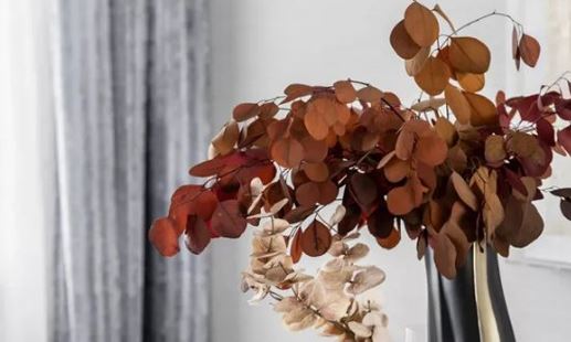 2026年3月22日宜新房开工装饰吗 是装潢规划的黄道吉日吗