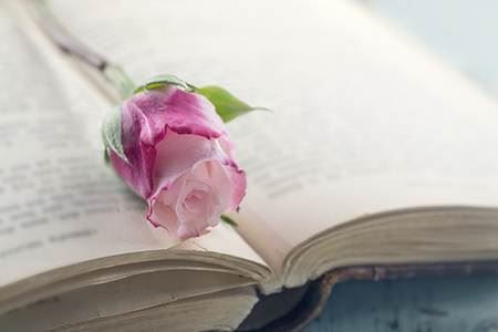 2026年家居风水开运布局