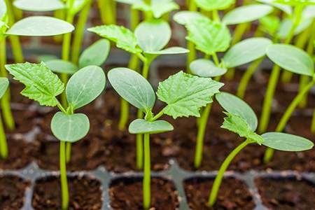 厨房在正北好不好_厨房布局的忌讳