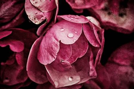 摆放财神的注意事项有哪些