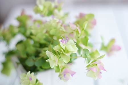 2026年有助于阳宅发财的地形风水