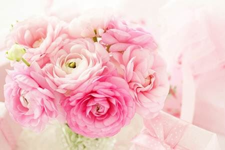 能让宗族财气好的风水秘法