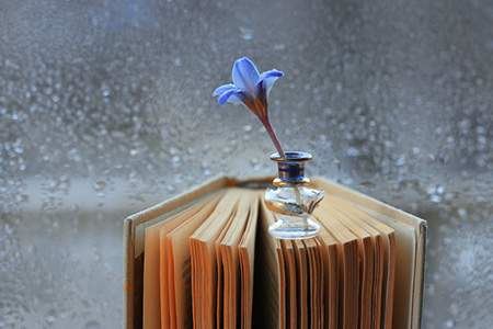 2026年6月财神方位查询