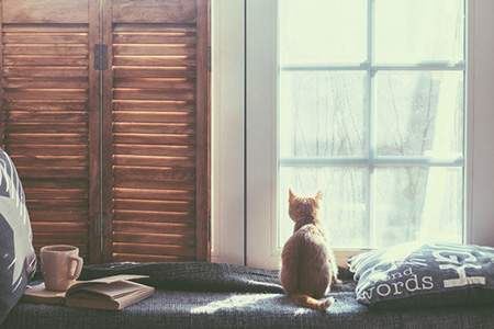 招财猫有哪些风水涵义_招财猫的摆放考究