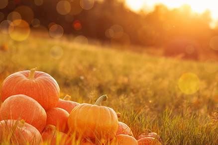 办公室地上不平影响风水吗_办公室地上不平的风水