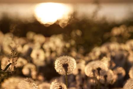 什么是反弓煞,怎样化解反弓煞