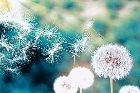 风水学中家运式微的几大预兆