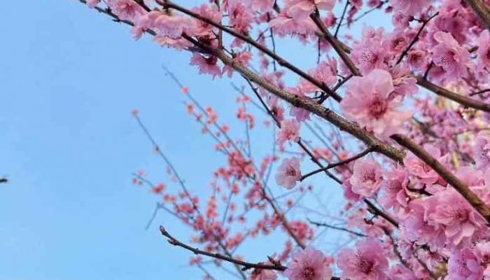 2026立春是什么时分 2026年立春时刻几点几分几秒