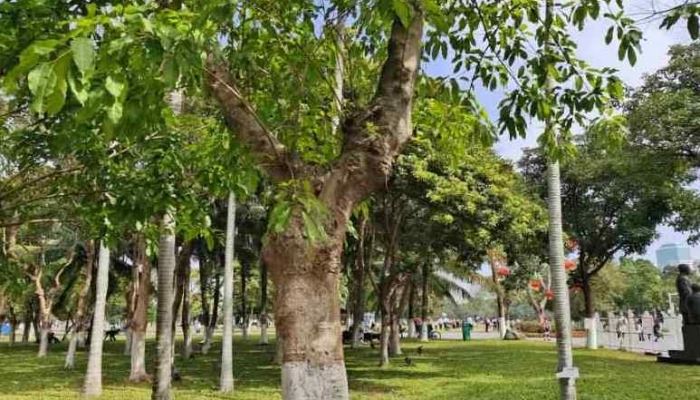 2026年立春日是哪一天 2026年立春日是什么时分