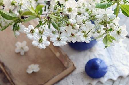 会带来厄运的住所风水有哪些