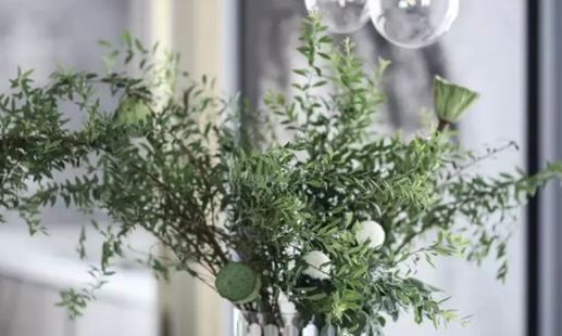 2029年阴历正月初六能够搬迁嘛 这天搬家顺畅吗