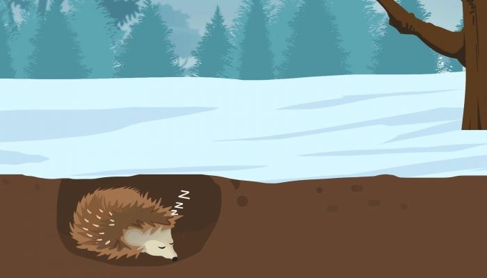 2026年江西中小学寒假放假组织 2026江西多地中小学寒假时刻发布