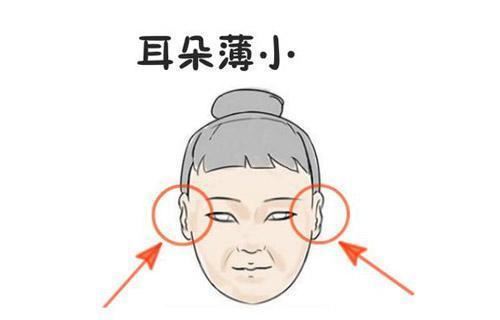 女性耳朵小的人命运怎么样