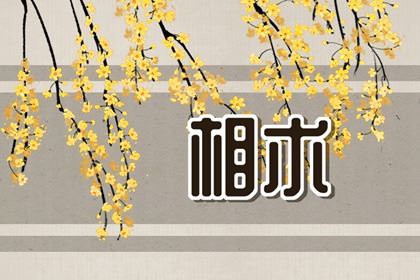 重爱情的人的面相 眉毛稠密规整